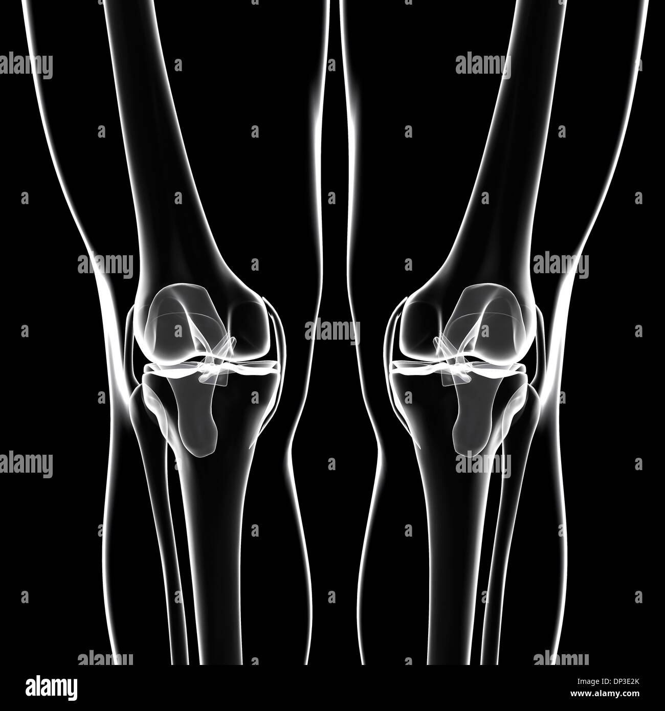 Menschlichen Knie, artwork Stockfoto