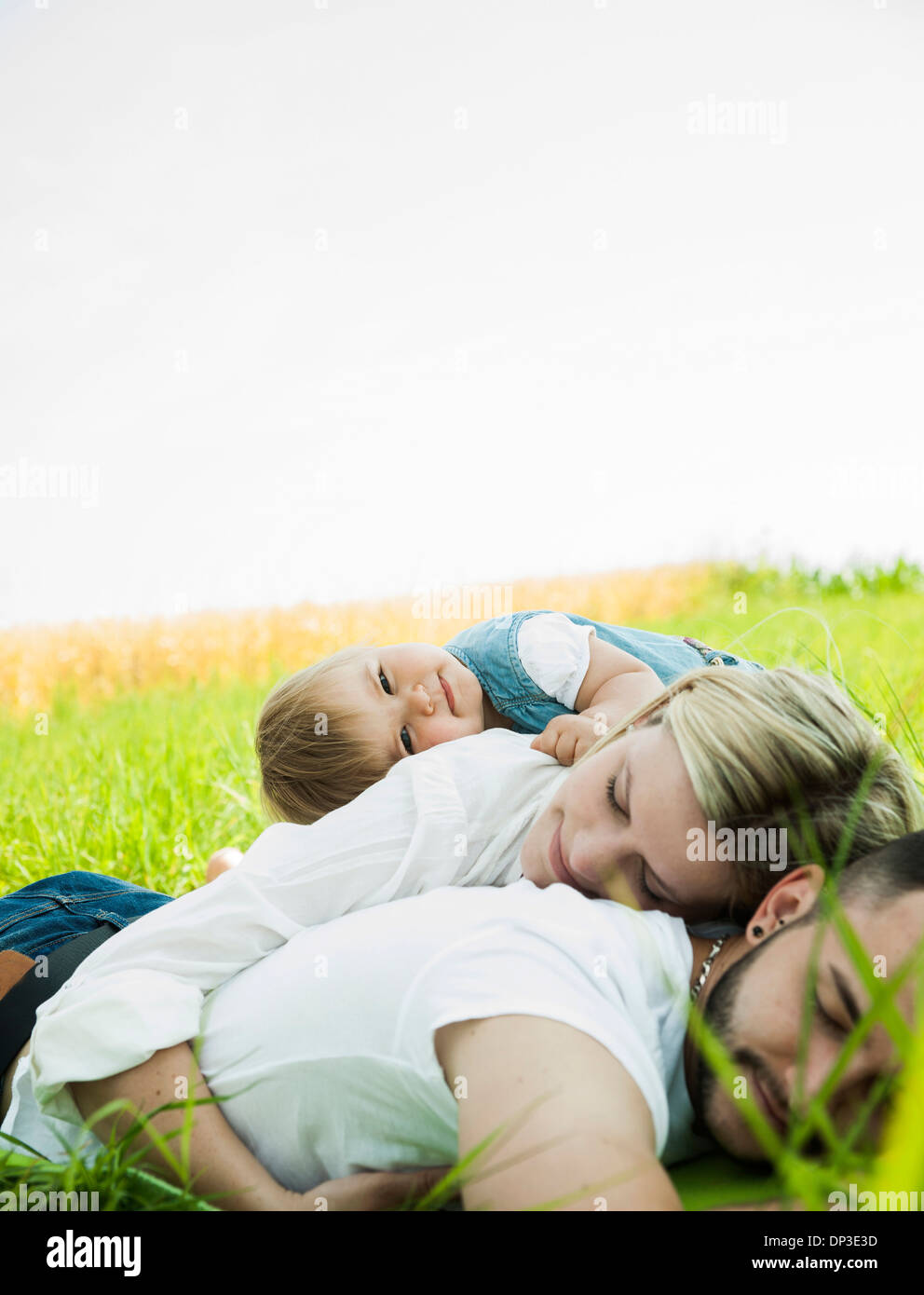 Familie schlafen im Grass, Mannheim, Baden-Württemberg, Deutschland Stockfoto