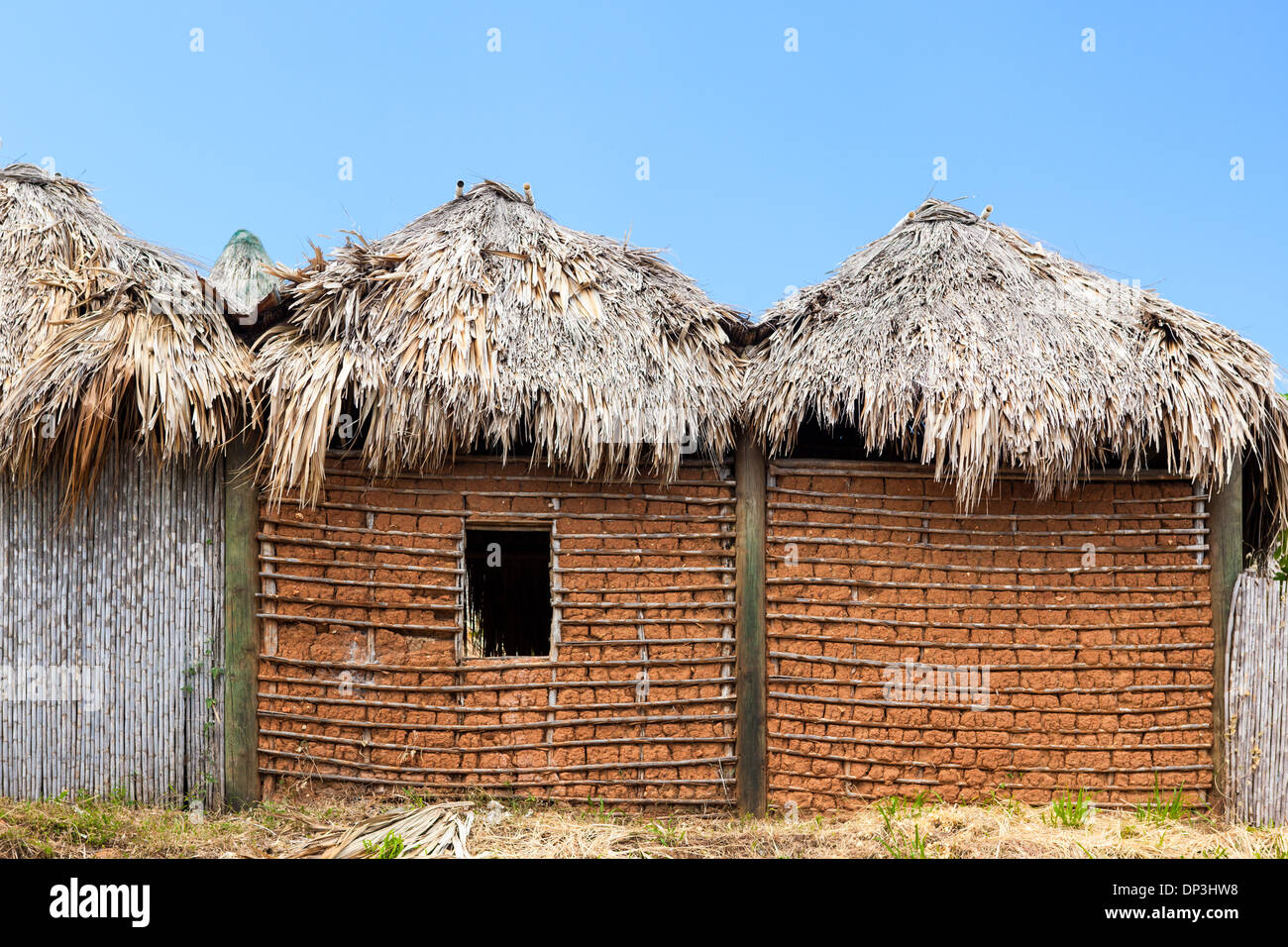 Traditionelles Garifuna-Schlamm-Haus mit Strohdach Stockfoto