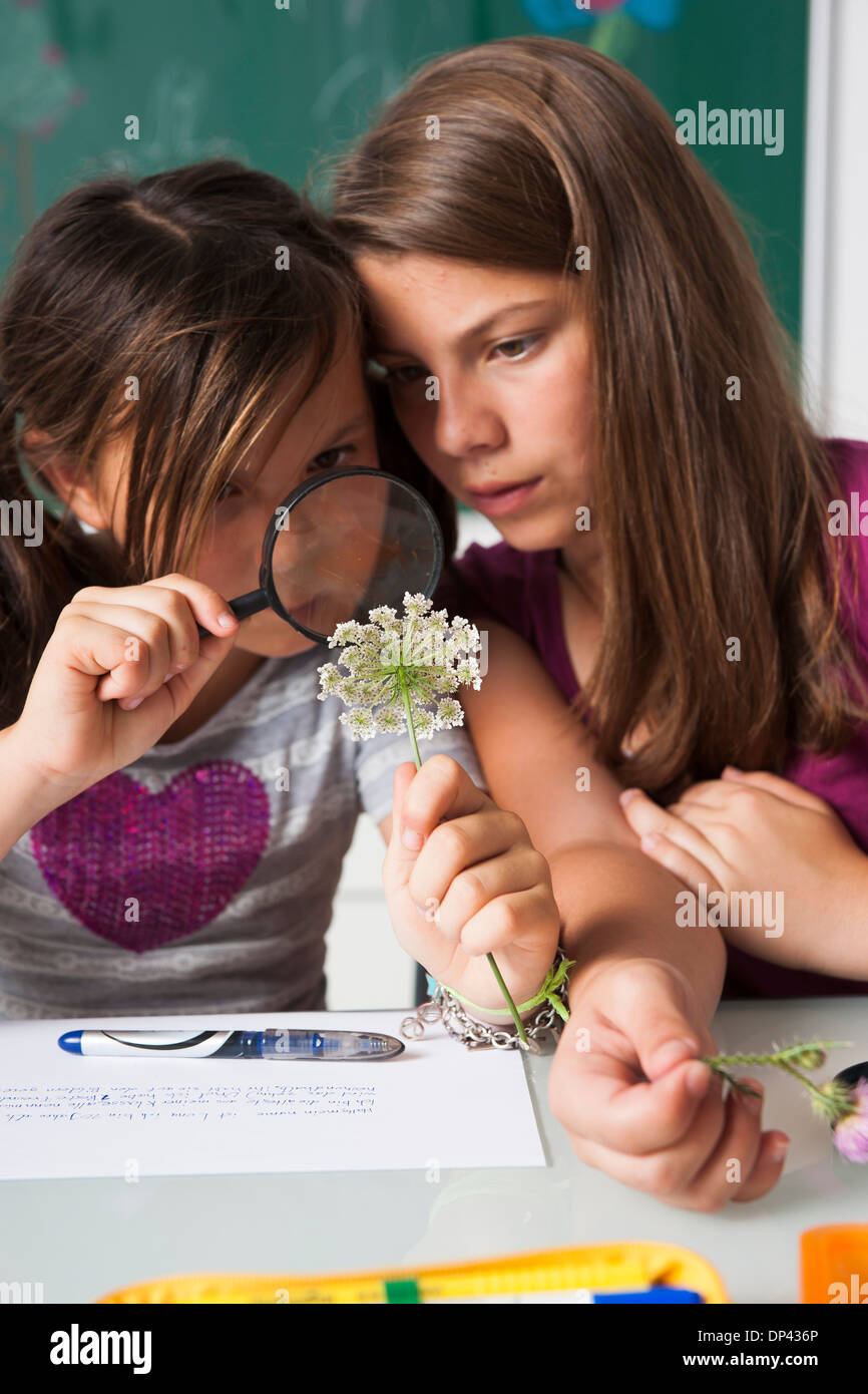 Mädchen im Klassenzimmer Prüfung Blumen mit Lupe, Deutschland Stockfoto