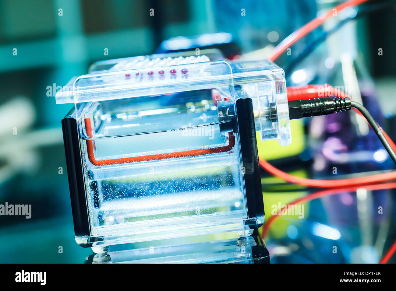 Gelelektrophorese Stockfoto