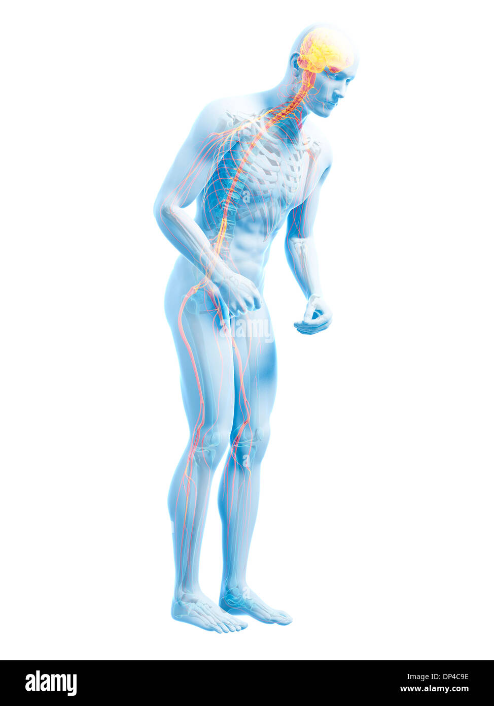 Parkinson-Krankheit, konzeptuellen Kunstwerk Stockfoto