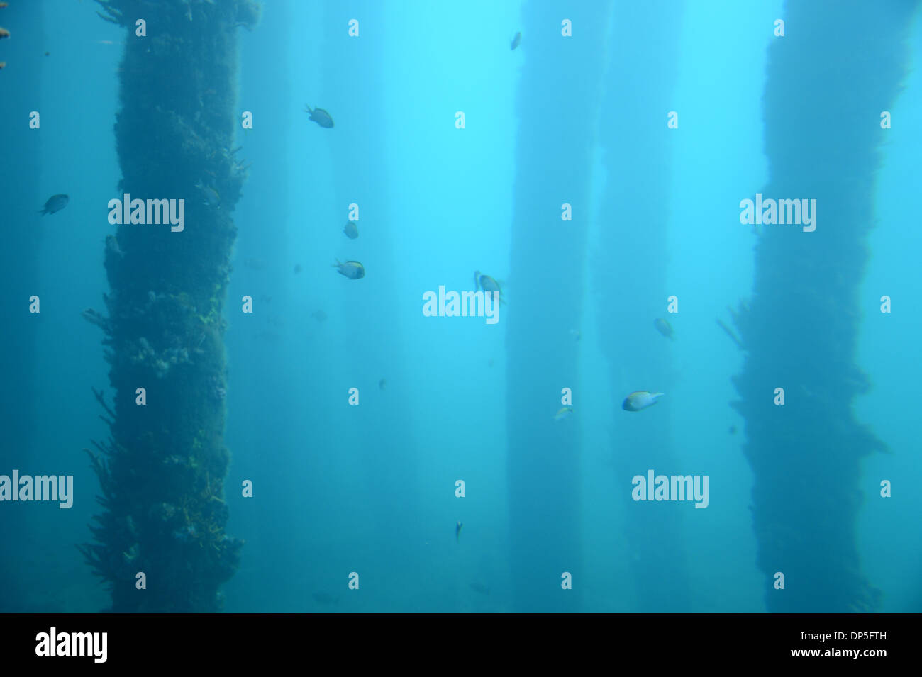 Eine abstrakte australischen Küste Meer Strand Bild Stockfoto