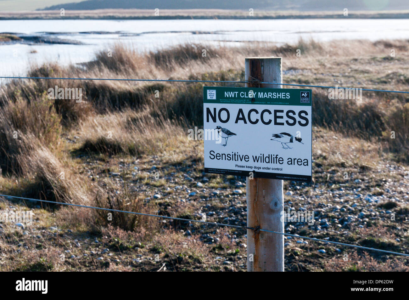 Cley Marshes an der North Norfolk-Küste. Stockfoto