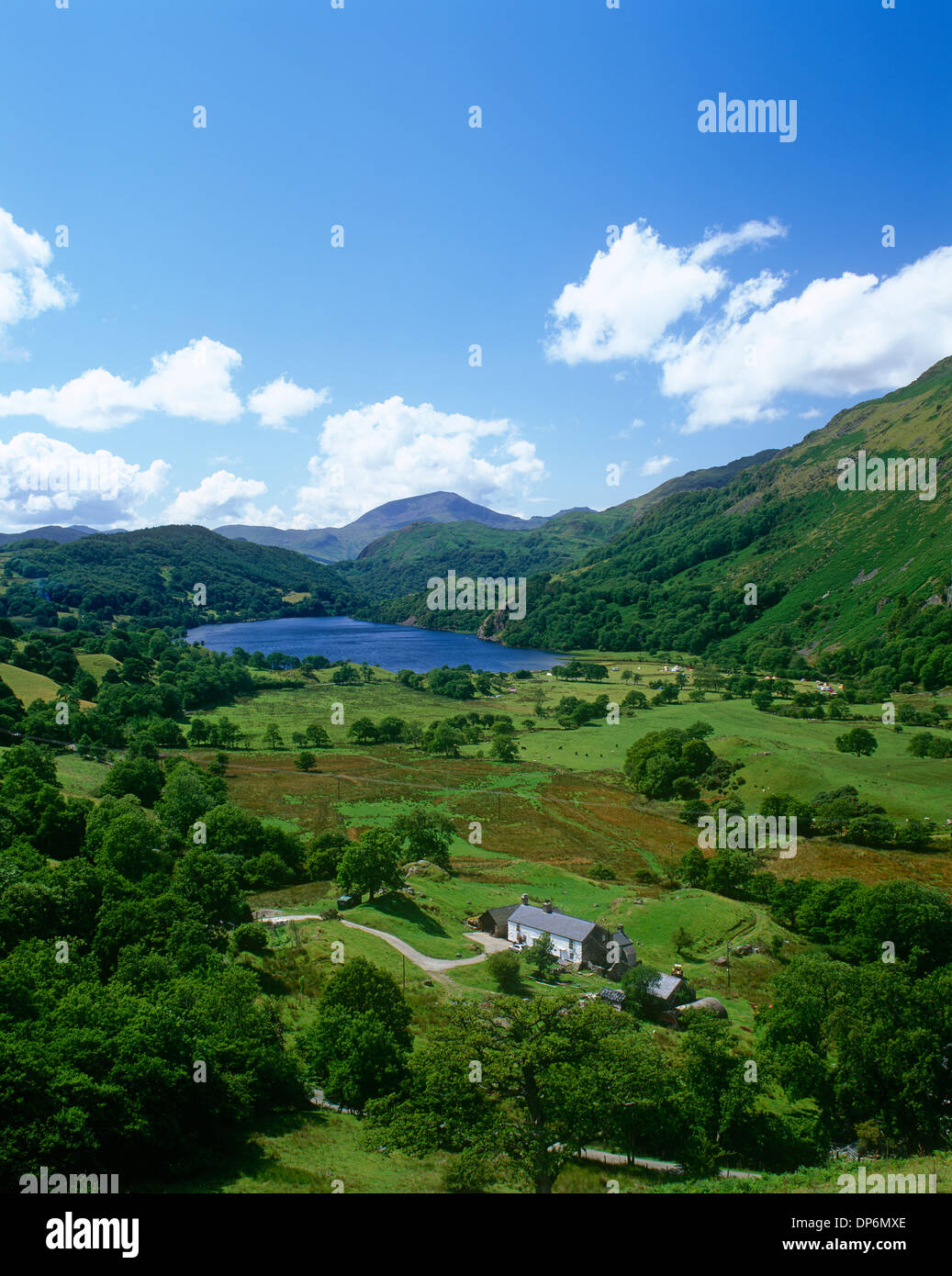 Nant Gwynant, Snowdonia, Gwynedd, Nordwales Stockfoto