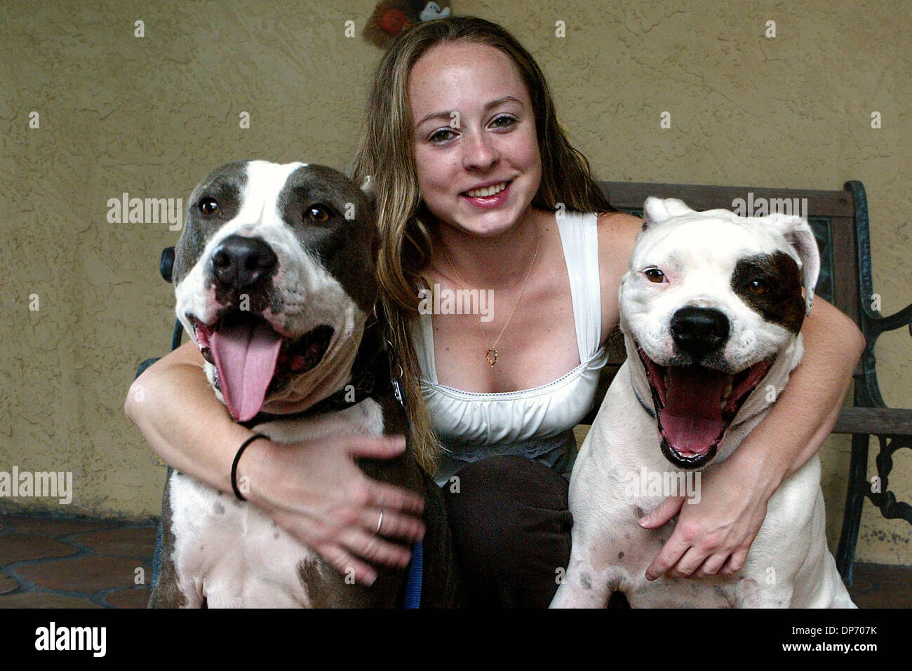 29. Oktober 2006; Lake Worth, FL, USA; MELODY OWENS, ein 22 Jahre Alter Student, läuft eine Tyrann Rasse zu retten Gruppe, dazu legen Sie oft geschmähte Pitbulls, American Bulldogs und anderen Bully-Rasse rettet. Sie ist für diesen Samstag ein Bewusstsein März organisieren. Sie erscheint hier mit zwei von ihren Hunden, Magnum (links) (Pitbull) und Maui (American Bulldog). Obligatorische Credit: Foto von Uma Sanghvi / Stockfoto