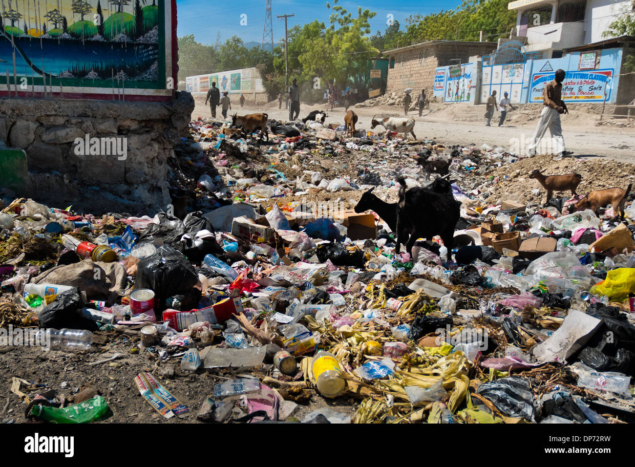 Ziegen auf Nahrungssuche in den faulen Müll links nach einem Straßenmarkt in Port-au-Prince, Haiti. Stockfoto