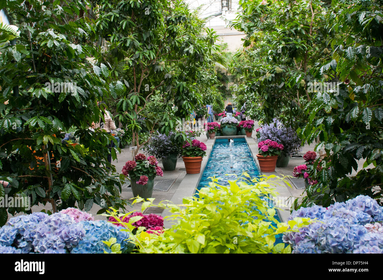 Im Inneren Der United States Botanic Garden In Washington Dc Usa