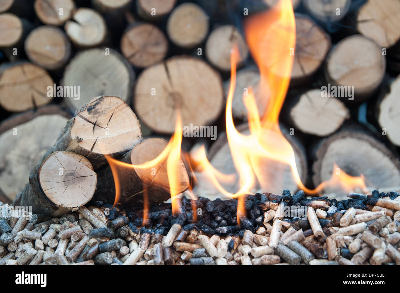 Eiche und Sonnenblume Pellets in Flammen-Stock Bild Stockfoto