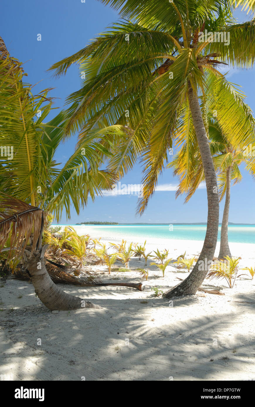 Tapuaetai Motu in Aitutaki Lagune, Cook-Inseln Stockfoto