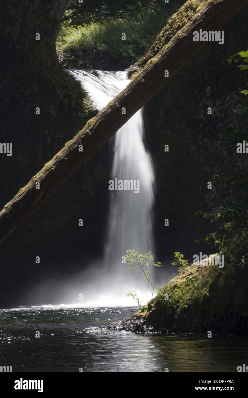 22. November 2006; Eagle Creek, OR, USA; Sonnige Aussicht auf Bowle fällt entlang der Eagle Creek Trail in der Columbia River Gorge National Scenic Area. Obligatorische Credit: Foto von Richard Clement/ZUMA Press. (©) Copyright 2006 von Richard Clement Stockfoto