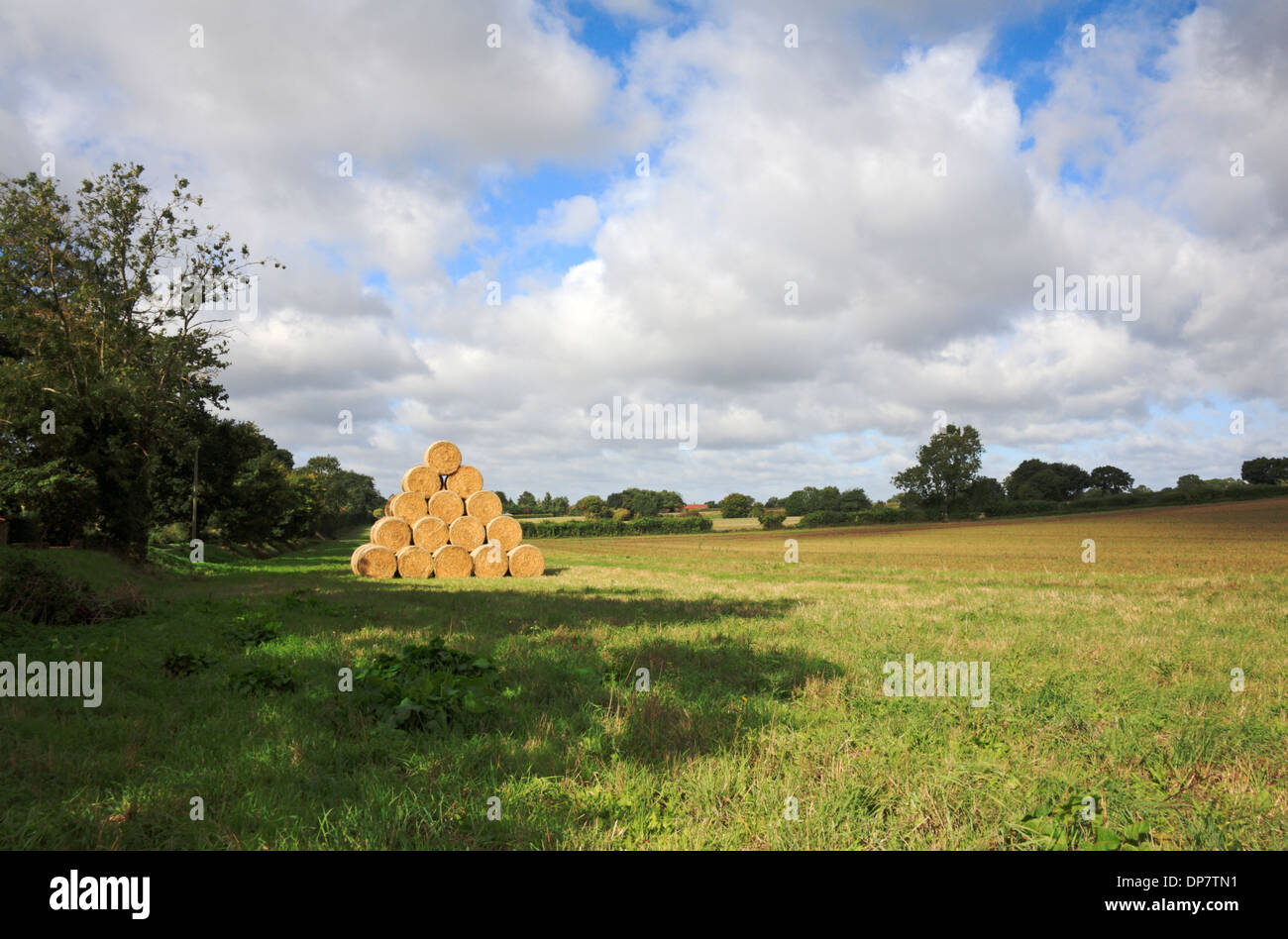 Ein Blick auf eine Ackerfläche mit Stoppeln und Stroh Stapel an Oxnead, Norfolk, England, Vereinigtes Königreich. Stockfoto