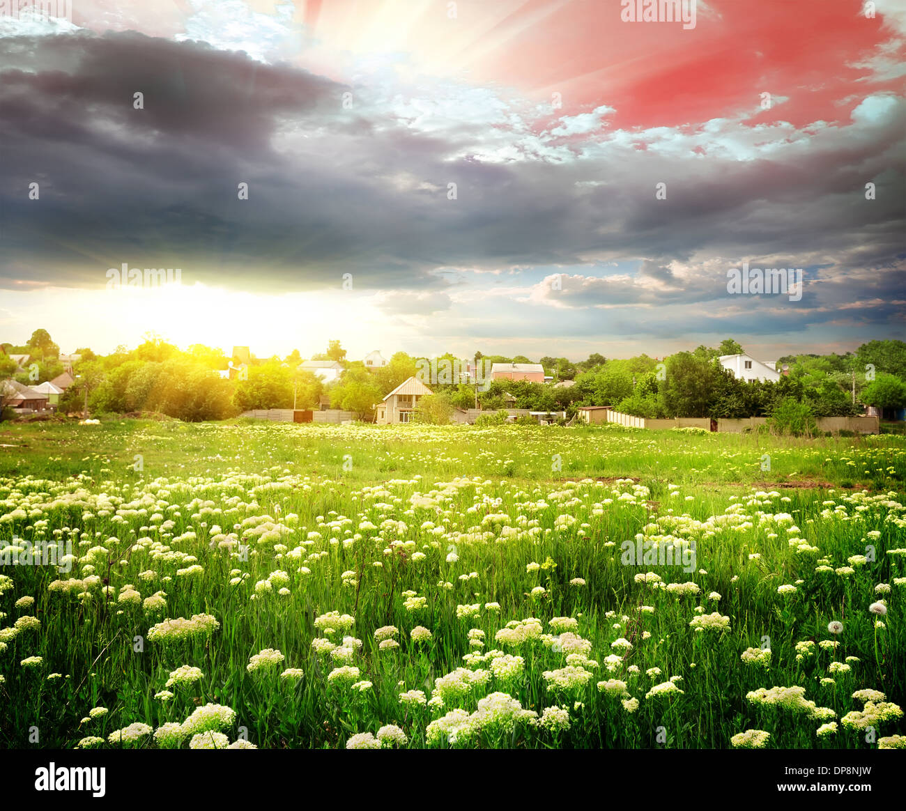 Sonnenuntergang über dem Feld im Dorf Stockfoto