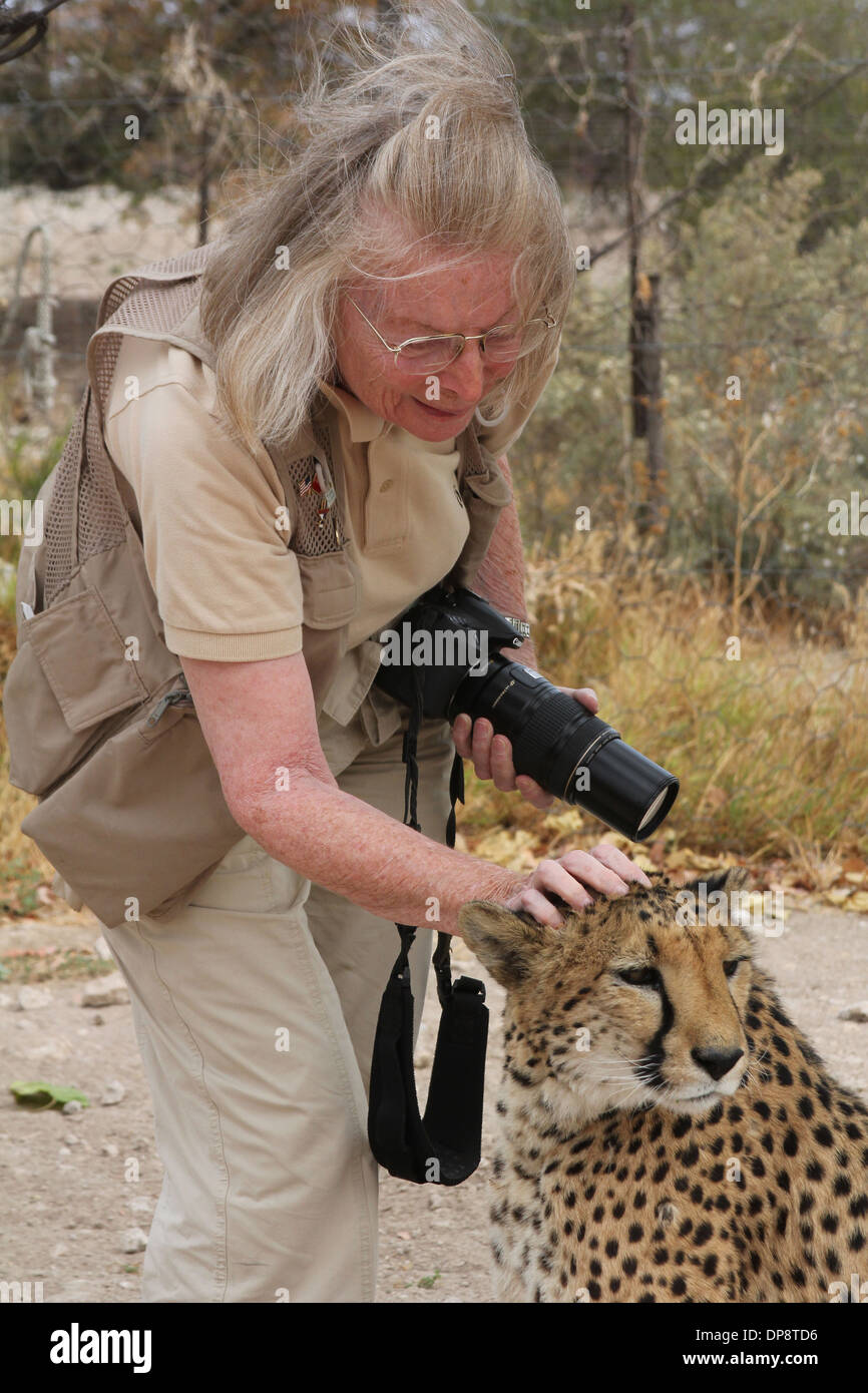 Frau Tourist mit Kamera streicheln einen Gepard bei einem Cheetah Conservation Farm, Namibia, Afrika. Stockfoto