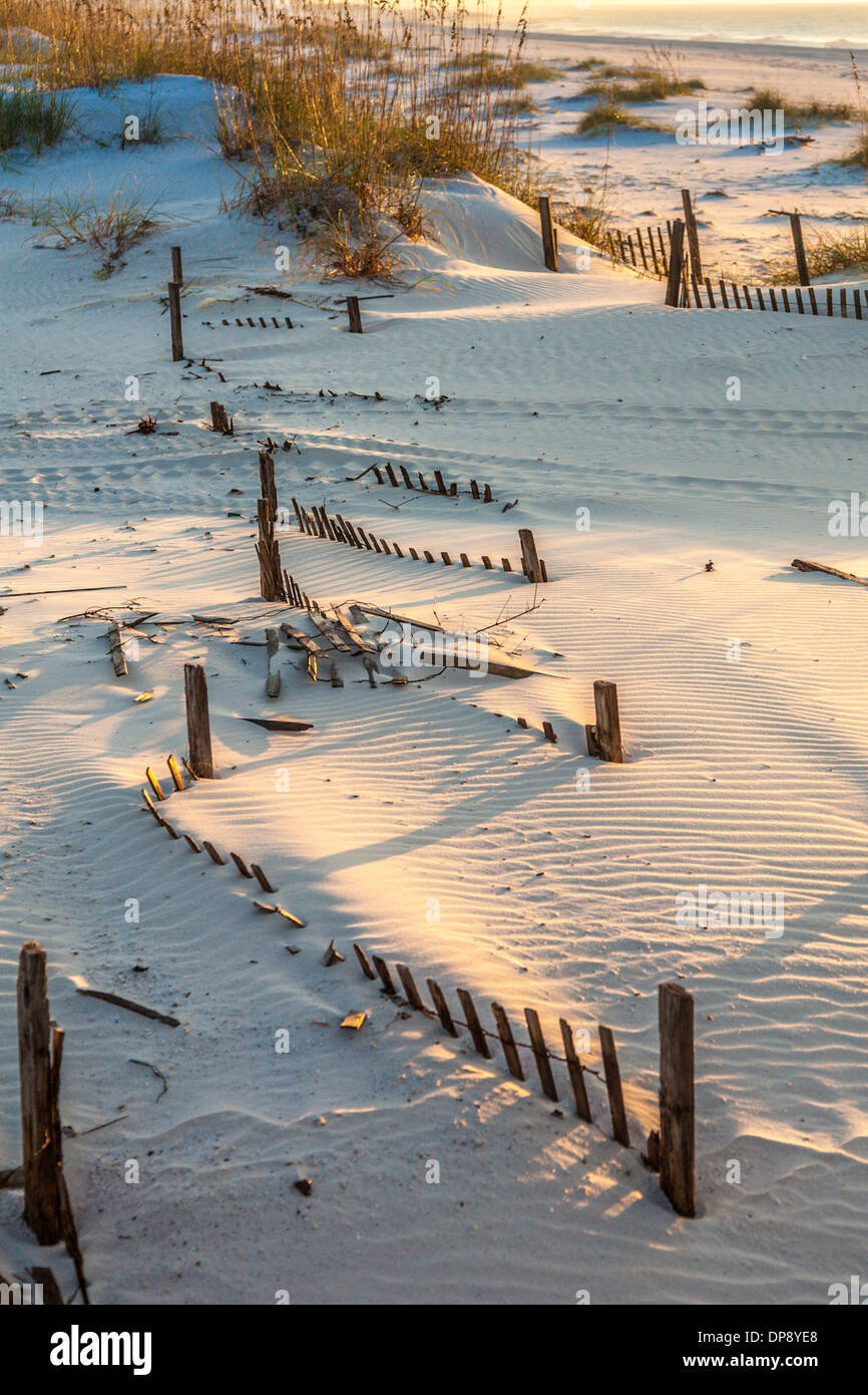 Sanddünen mit Sehafer und hölzernen Zäune sorgen für Erosionsschutz entlang des Golfs von Mexiko Strände in Alabama Gulf Shores Stockfoto