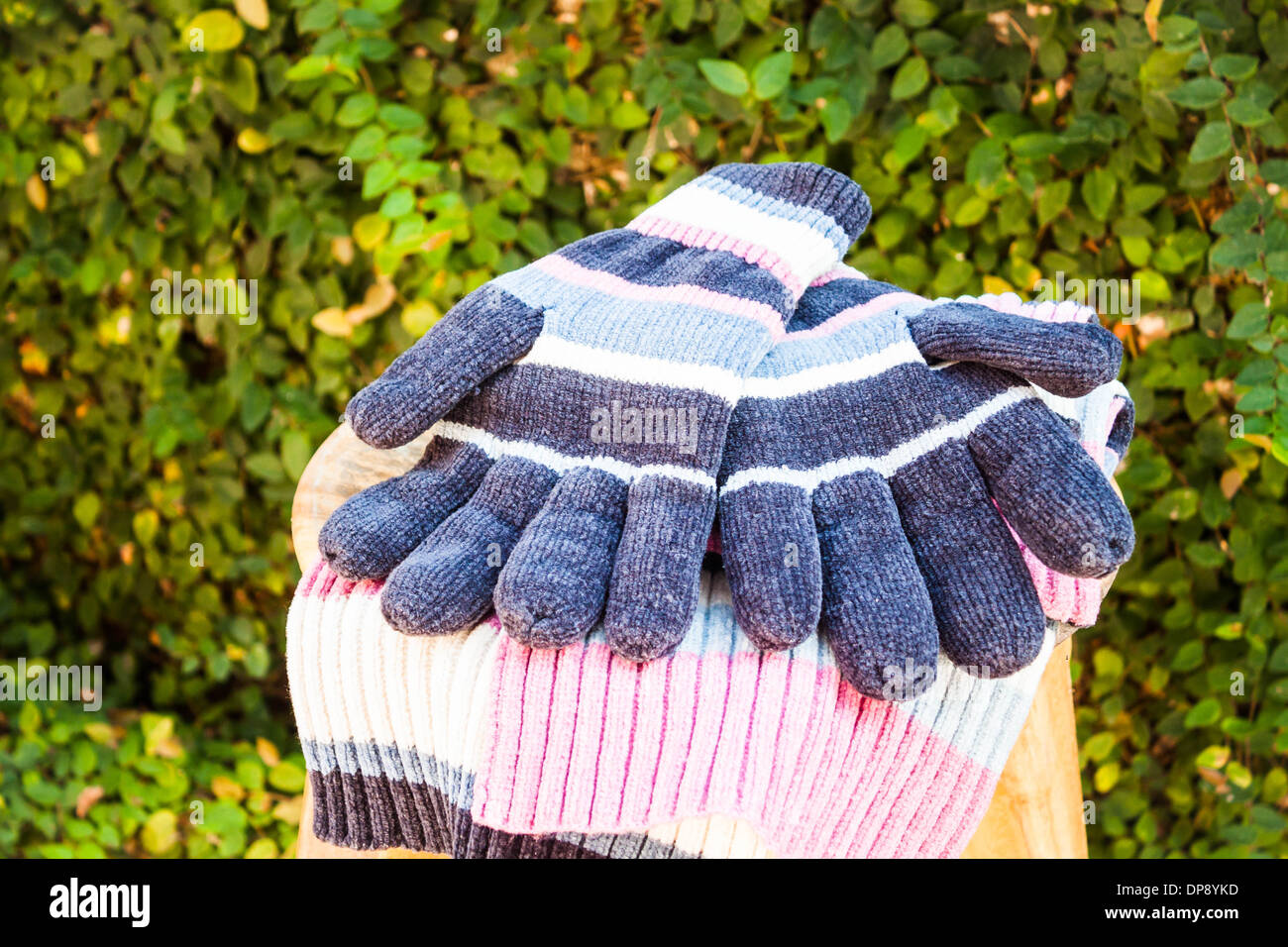 Stricken Sie Wolle Handschuhe und Schal, Fotoarchiv Stockfoto