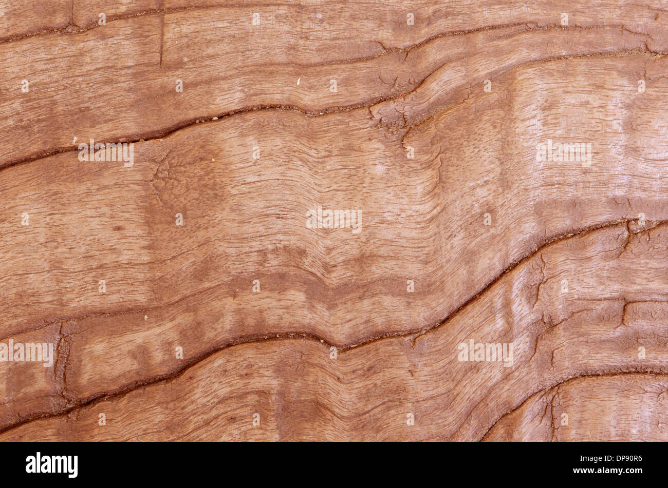 alte hölzerne Hintergrund, braun Holzstruktur hautnah Stockfoto