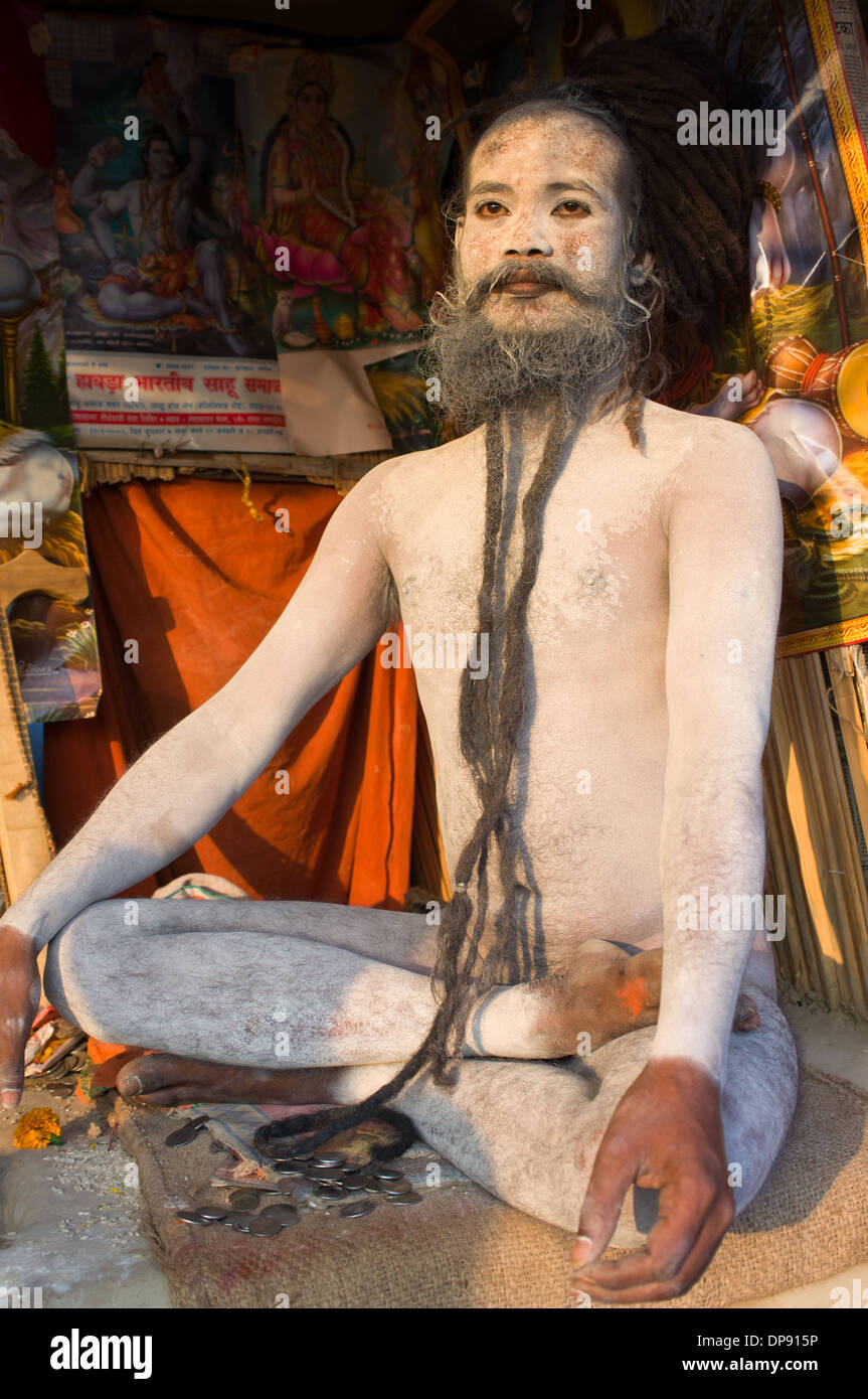 Nackt, mit Asche bedeckten Naga Sadhu (Heiliger) mit lange Dreadlocks, Schneidersitz sitzen in einem Ashram in der Ganga Sagar Mela, Sagar Island, West Bengal, Indien Stockfoto