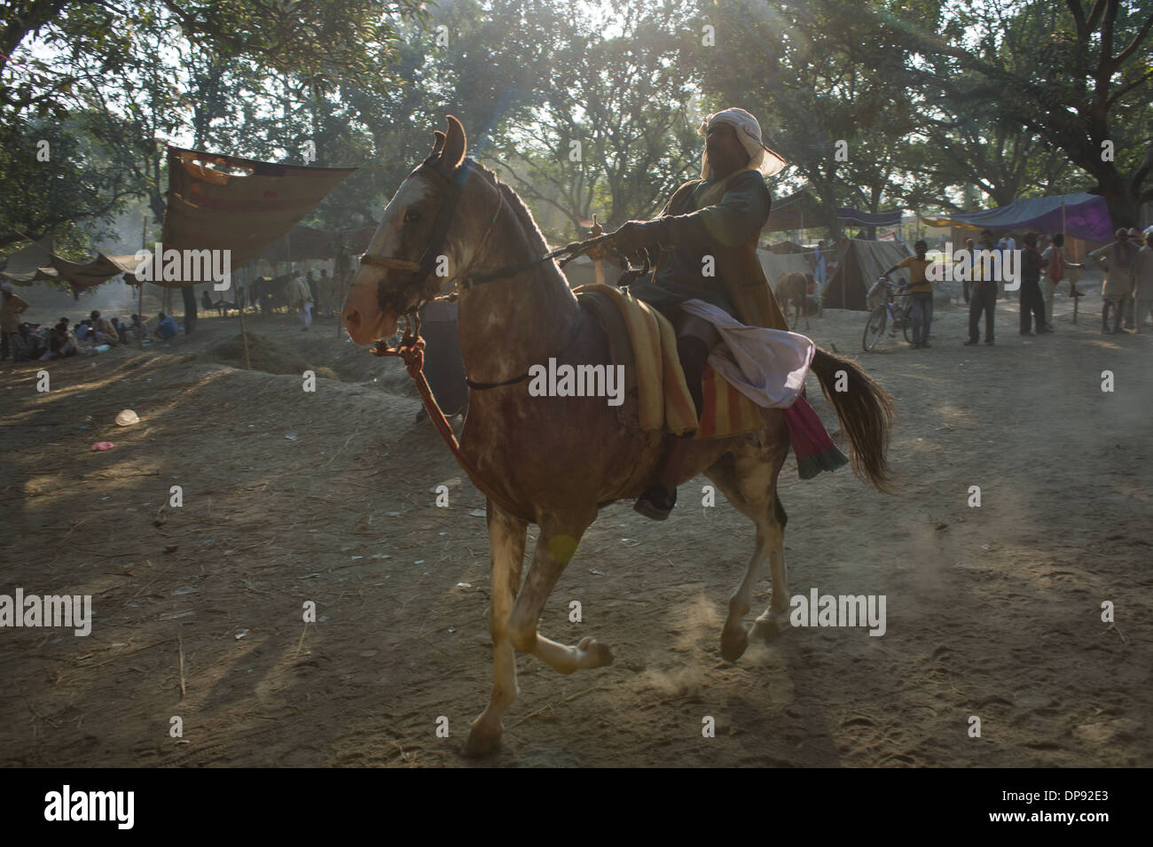 Mann auf einem Pferd zu zeigen es auf dem staubigen Pferd Basar Sonepur Mela, Sonepur, Bihar, Indien Stockfoto