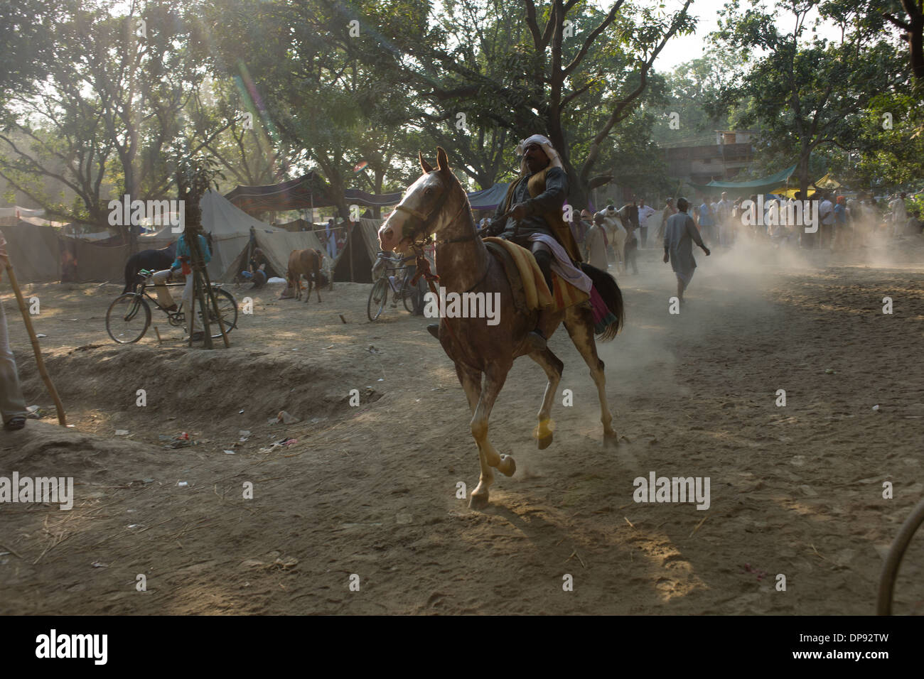 Mann auf einem Pferd zu zeigen es auf dem staubigen Pferd Basar Sonepur Mela, Sonepur, Bihar, Indien Stockfoto