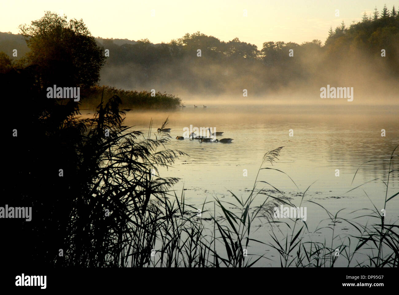 Esthwaite Wasser In den Lake District National Park, UK Stockfoto