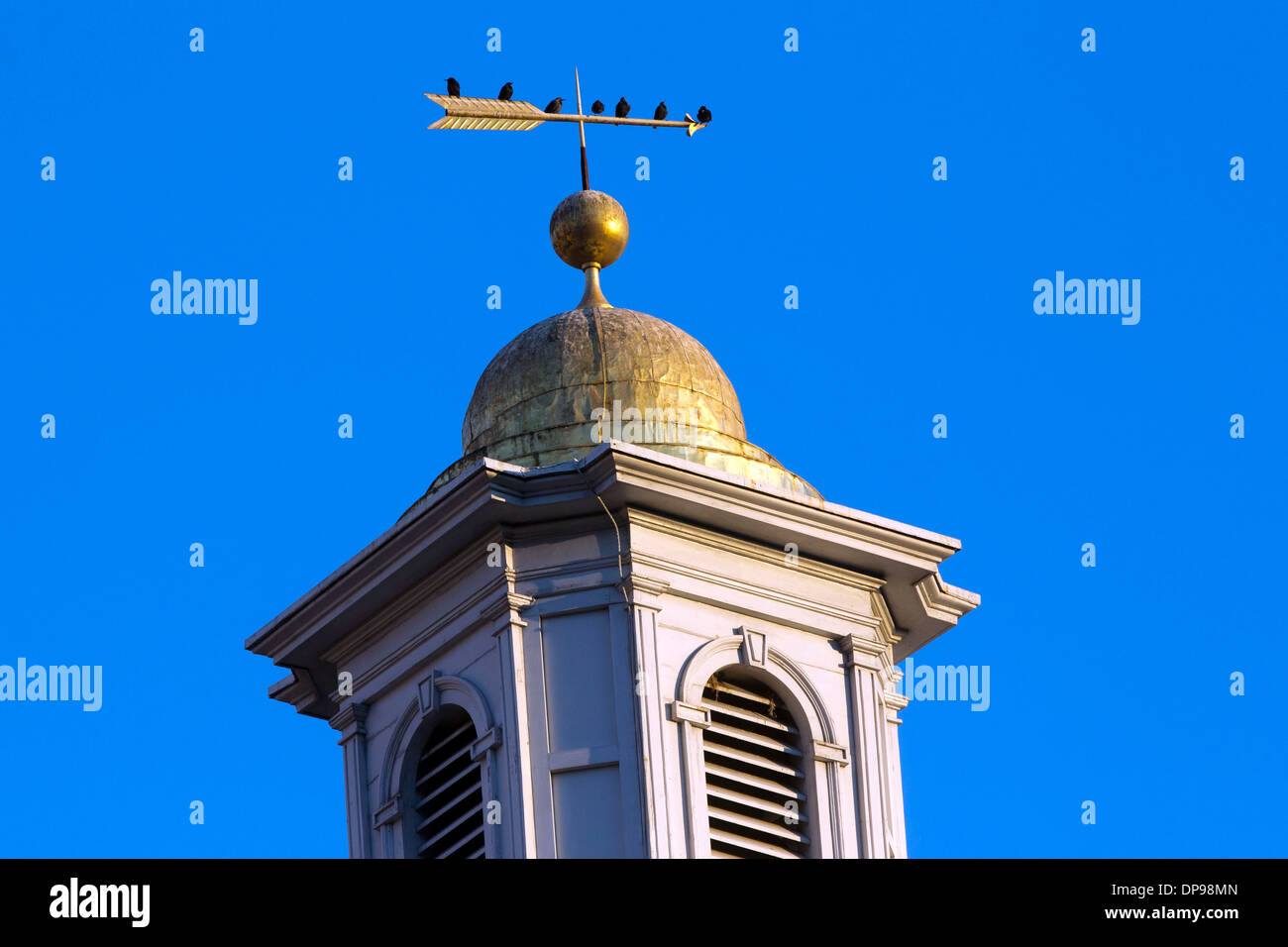 Vögel sitzen auf der Wetterfahne des St. Johns Episcopal Church, Washington DC. 17. Dezember 2013. Foto von Trevor Collens. Stockfoto