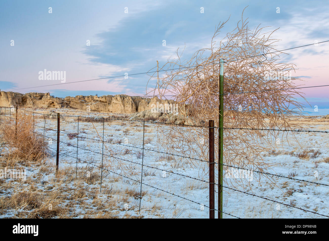 Winter-Dämmerung über Prairie in northern Colorado mit Rinder-Zaun mit Tumbleweed zu beruhigen Stockfoto