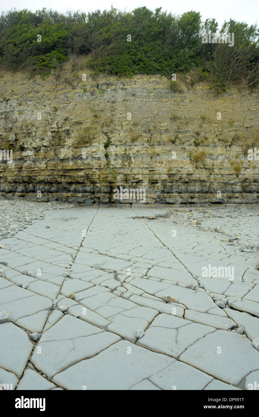 Bemerkenswerte Pflasterung-ähnliche Schichten am Lavernock Punkt Stockfoto