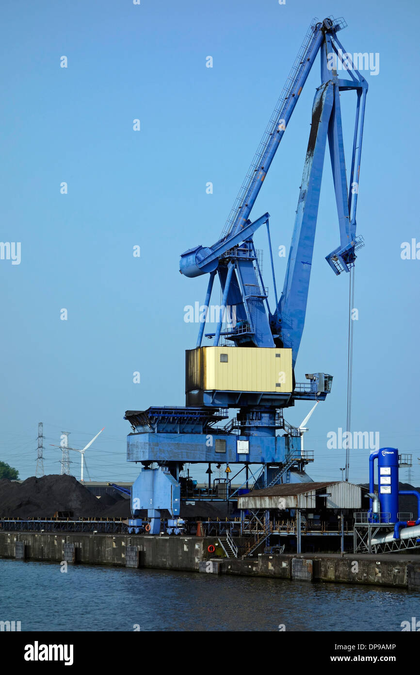 Dock-Kran am SEA-invest / Gent Coal Terminal / GCT am Hafen von Gent, Ost-Flandern, Belgien Stockfoto