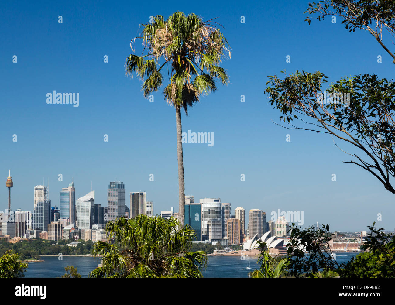 Sydney-Stadtbild und den Hafen von Taronga Zoo, Australien Stockfoto