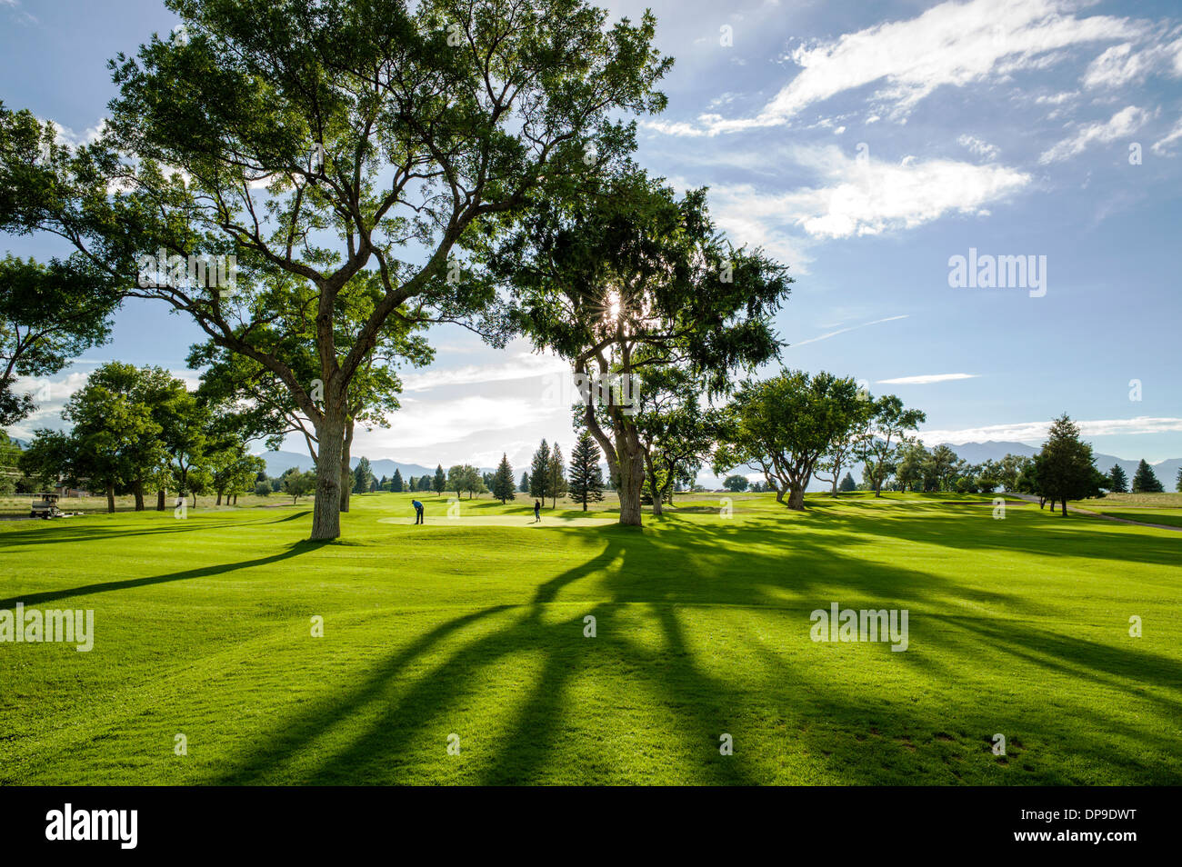 Hinterleuchtete betrachten des späten Nachmittags Licht auf üppige neun-Loch Salida, Colorado, Golfplatz Stockfoto