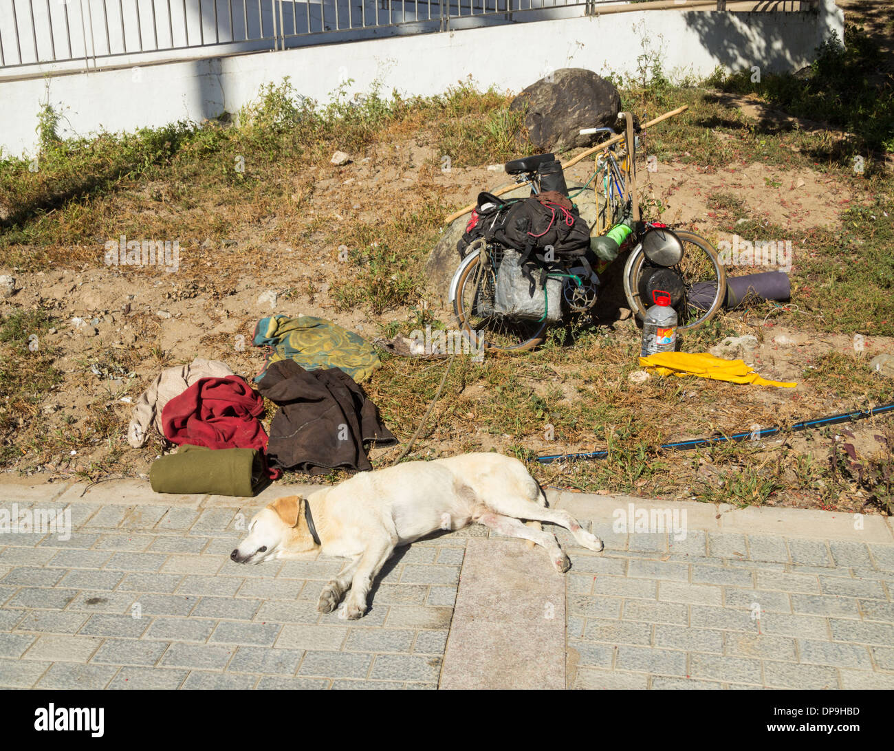 Hund an altes Fahrrad beladen mit Campingausrüstung, Töpfen und Pfannen in der Nähe von Strand in Spanien gebunden Stockfoto
