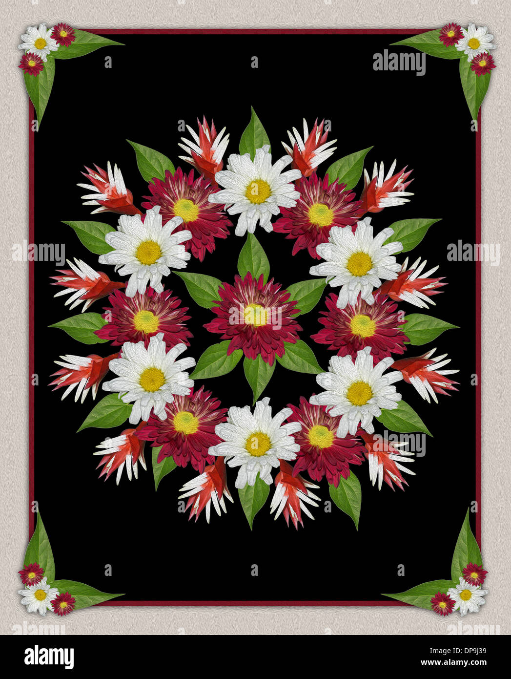 Spektakuläre Blumenkunst - geometrisches Design mit rote und weiße Chrysanthemen Blüten und Blätter auf schwarzem Hintergrund Stockfoto