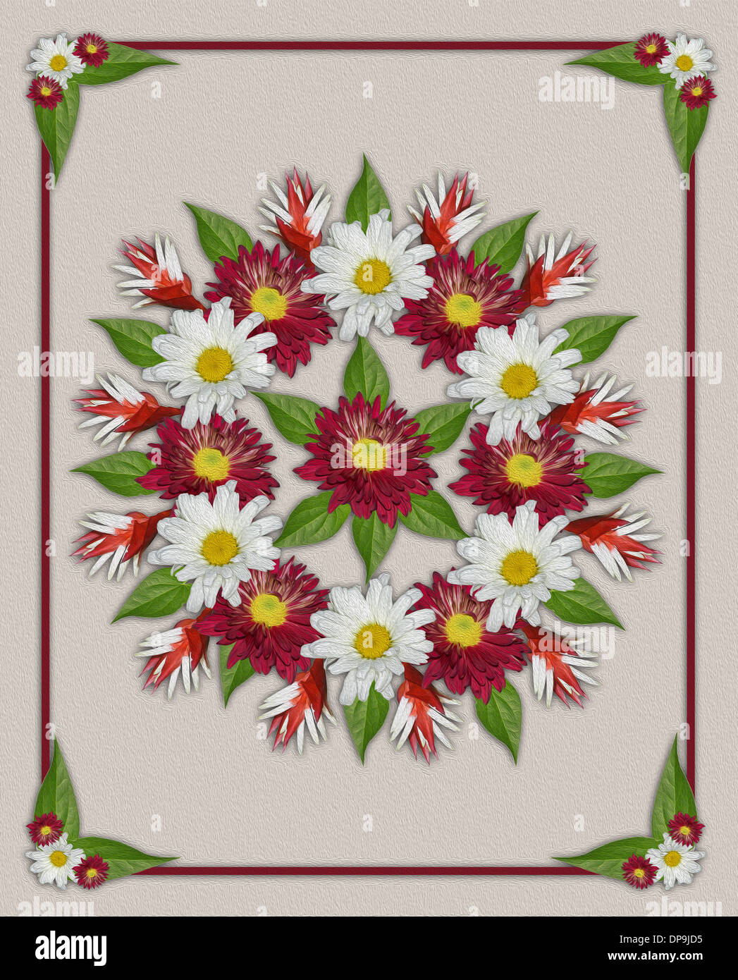 Spektakuläre Blumenkunst - geometrisches Design mit rote und weiße Chrysanthemen Blüten und Blätter auf Beige Hintergrund Stockfoto