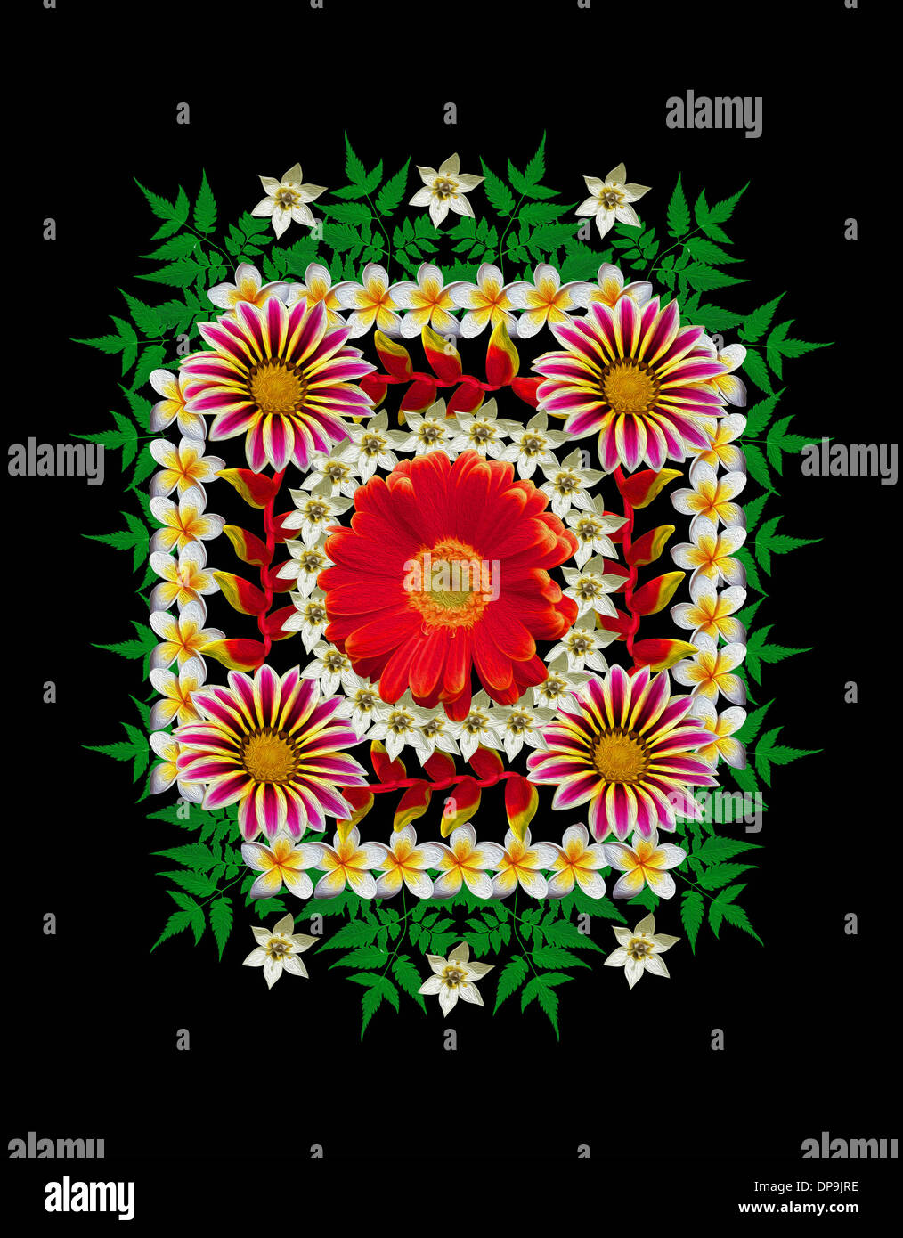 Spektakuläre Blumenkunst - geometrische Gestaltung Frangipani, Gazanien, und Gerbera Frühlingsblumen und Blätter auf schwarzem Hintergrund Stockfoto
