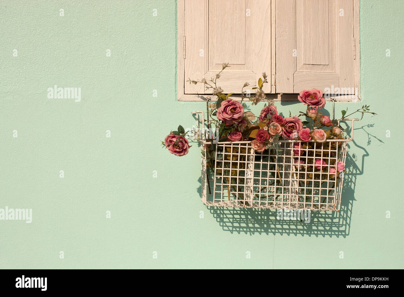 Leichte grüne Wand und Blumen Korb mit benutzerdefinierten Text Platz Stockfoto
