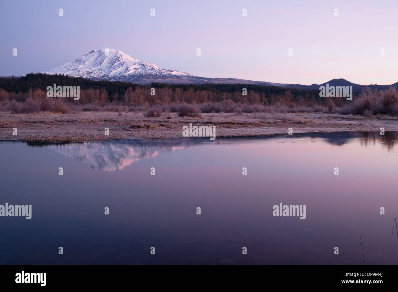 Eine erstaunliche noch See Szene vor Mount Adams Washington Stockfoto