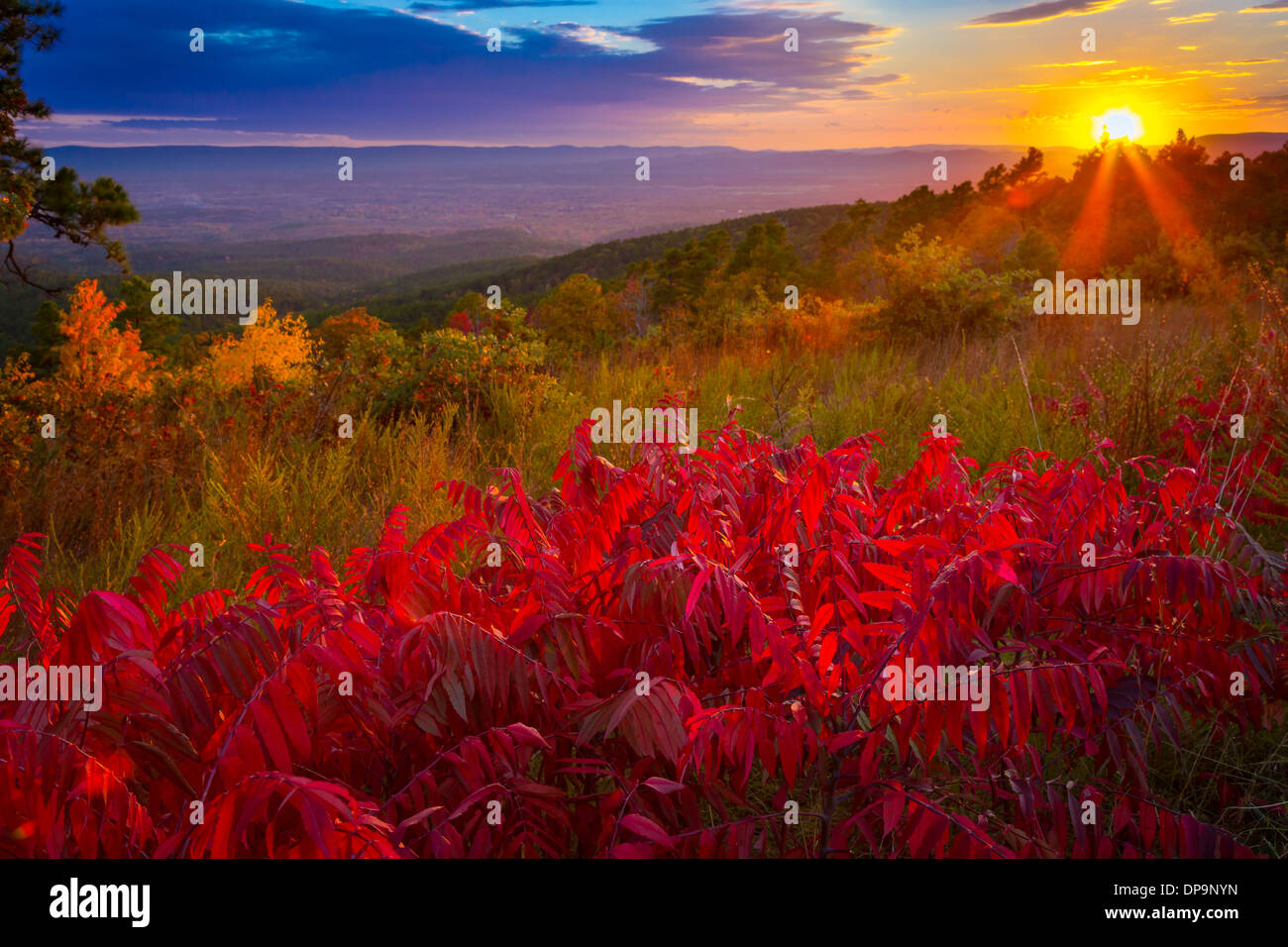 Der Talimena Scenic Drive ist eine National Scenic Byway in southeastern Oklahoma und extremen westlichen Arkansas Stockfoto