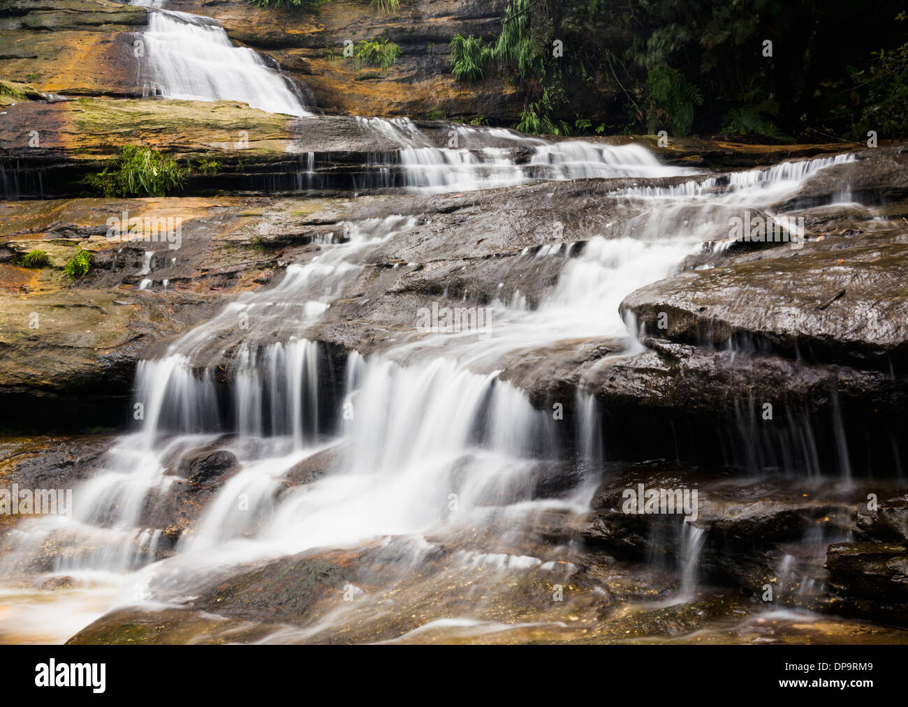 Mehreren Kaskaden über die Wasserfälle von Katoomba in den Blue Mountains National Park, New-South.Wales, Australien Stockfoto