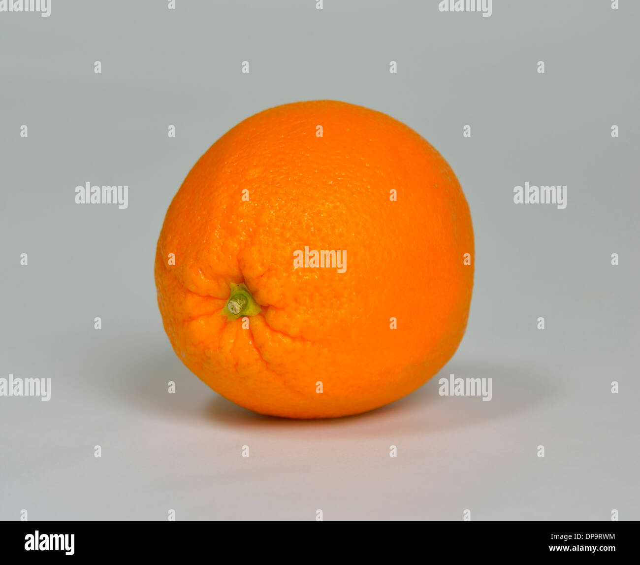 Orangefarbene Zitrusfrucht. Stockfoto