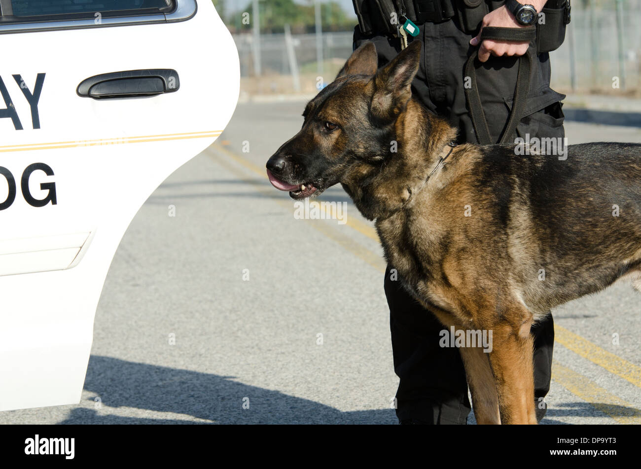 Ein K9 und seine Partnerin, die immer bereit für ihre Verschiebung. Stockfoto