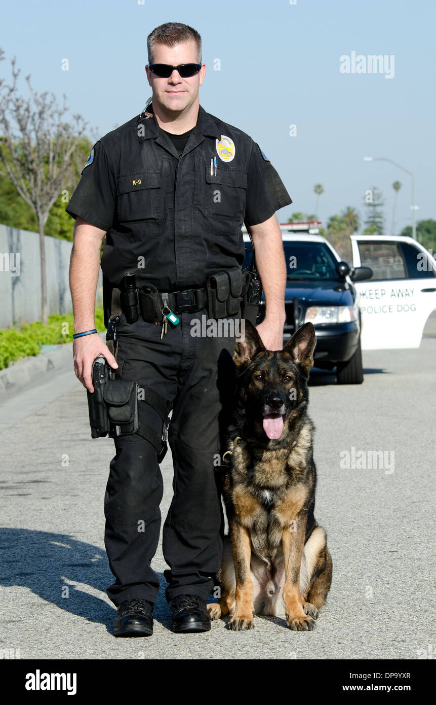 K9 Polizist mit seinem Hund. Stockfoto