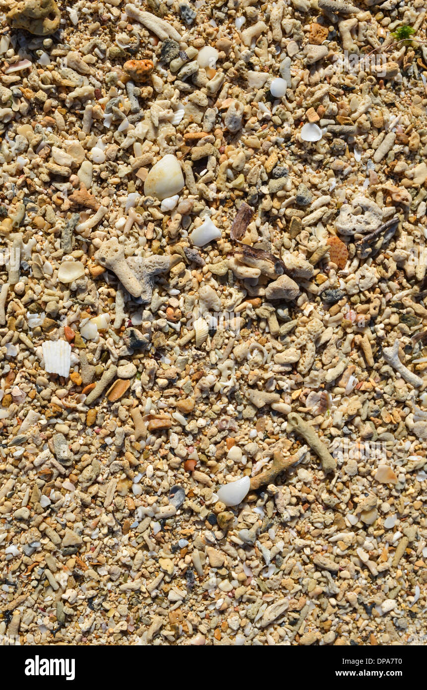 Detail aus der tropischen Strand von East China Sea auf Okinawa, Japan Stockfoto