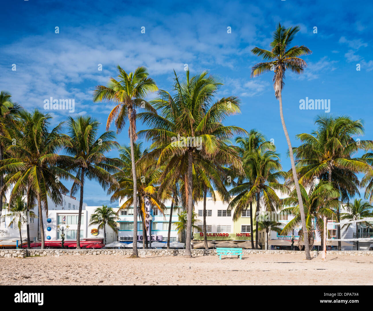 MIAMI, FLORIDA - 6. Januar 2014: Palmen säumen Ocean Drive. Die Straße ist die Hauptverkehrsstraße durch South Beach. Stockfoto