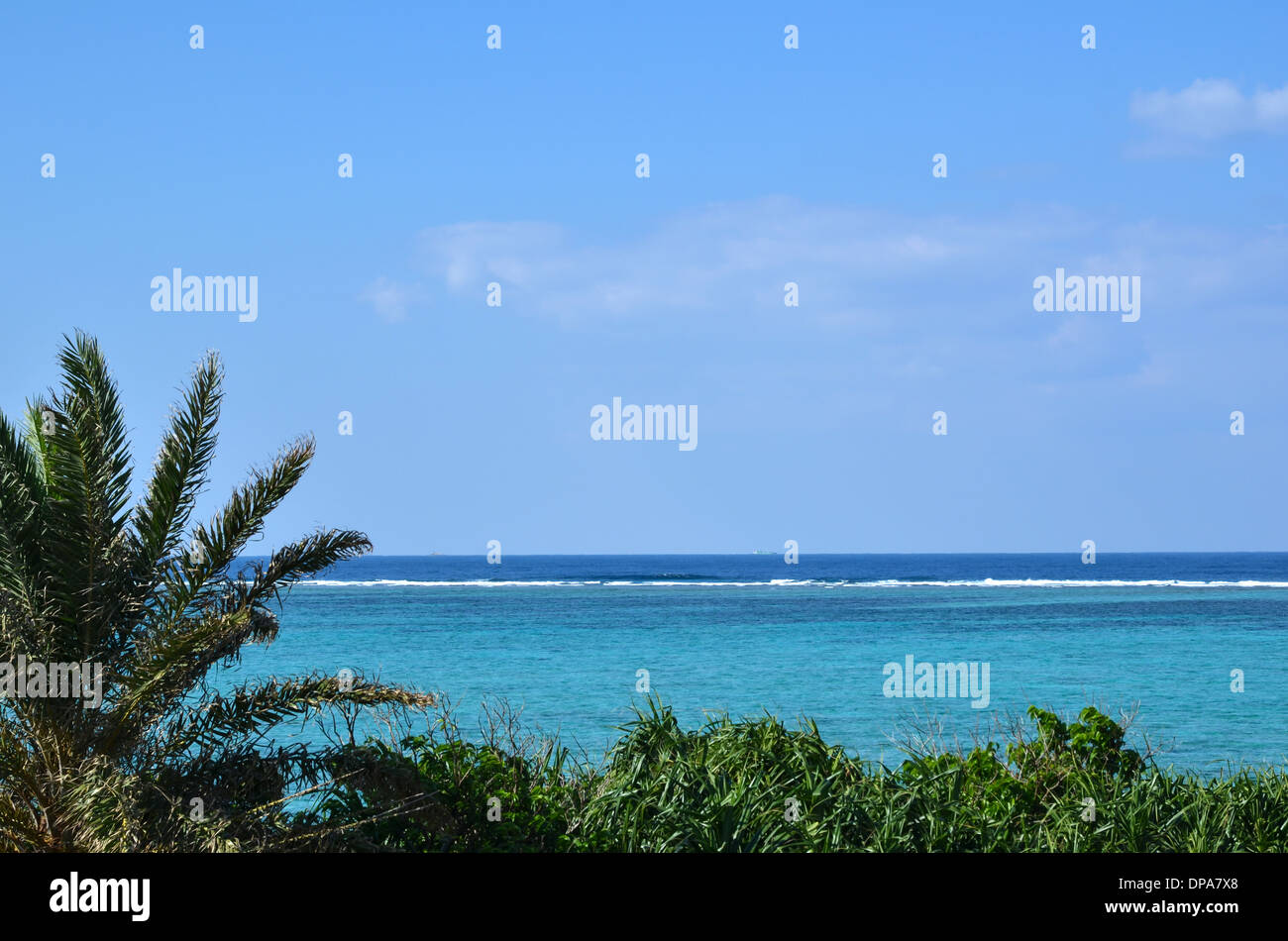 Tropische Küstenblick am Ostchinesischen Meer in Okinawa, Japan Stockfoto
