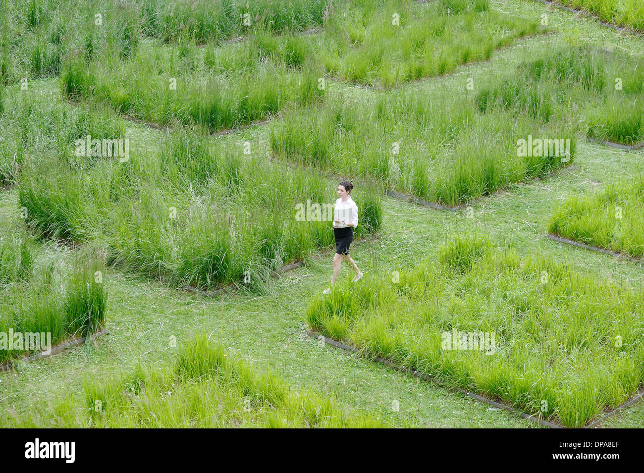 Junge Büroangestellte Bummeln durch Rasen-Labyrinth Stockfoto