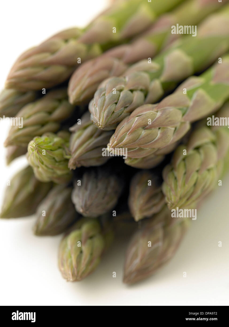 Spargel Stockfoto