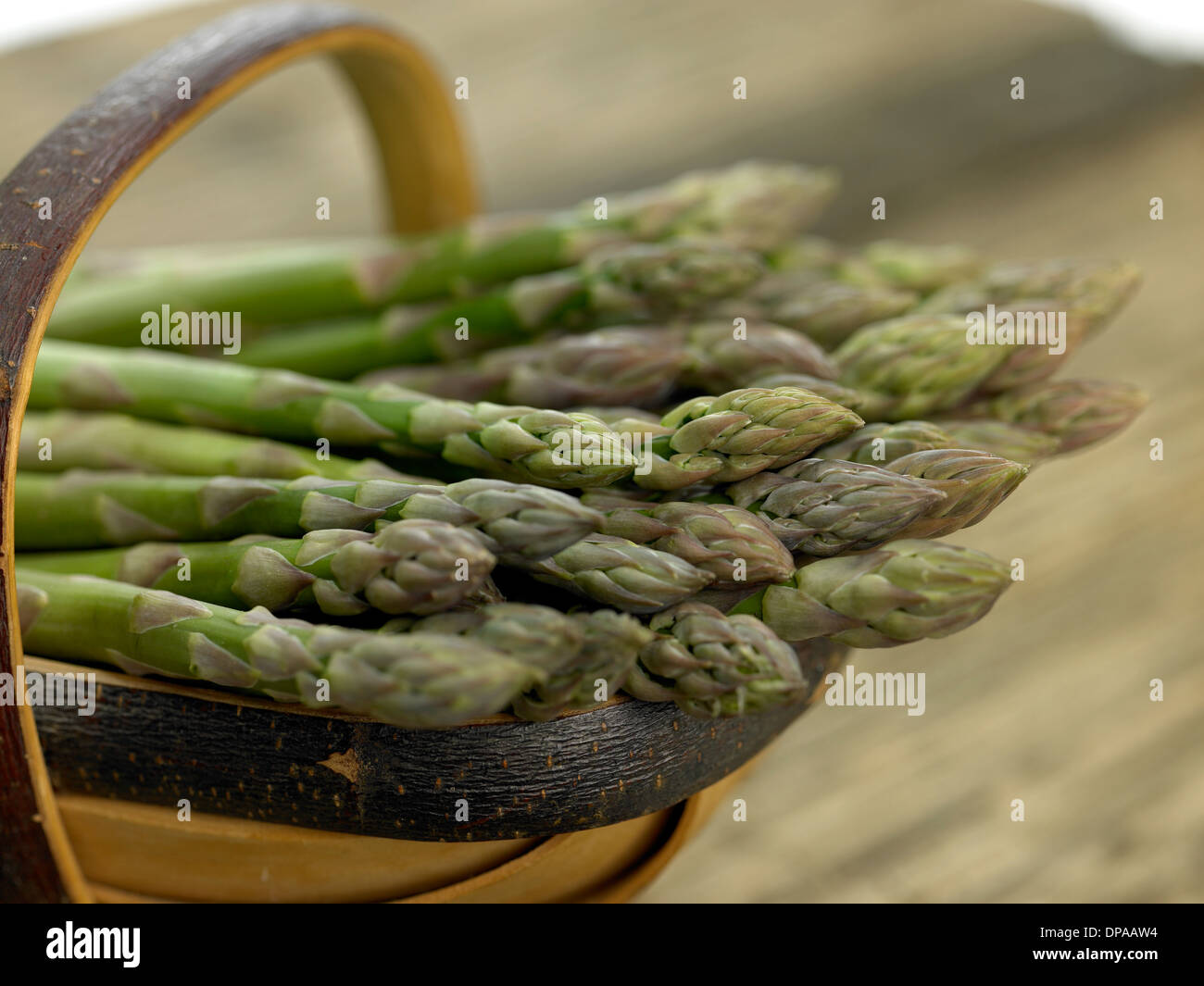 Spargel Stockfoto