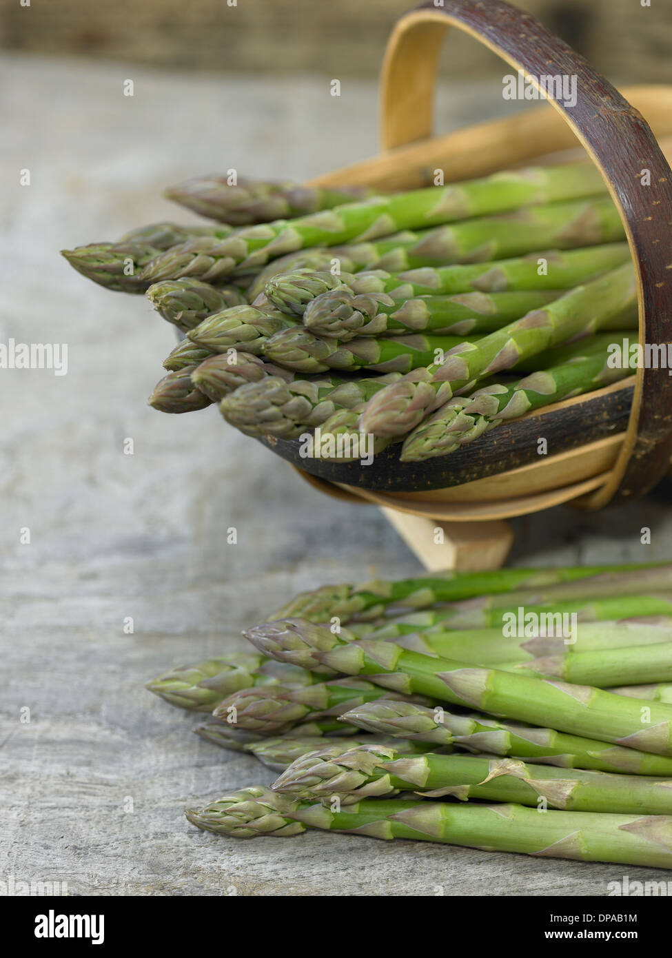 Spargel Stockfoto