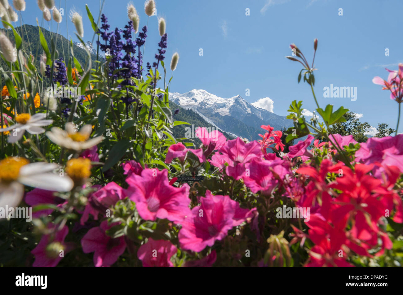 Mont-Blanc, Chamonix, Frankreich Stockfoto